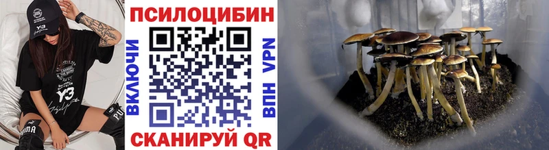 наркота Давлеканово Галлюциногенные грибы мицелий